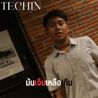 Techin - มันเจ็บเหลือเกิน