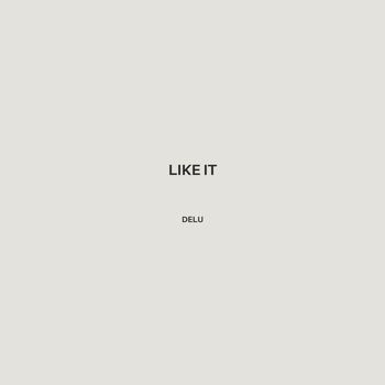 Delu - Like it
