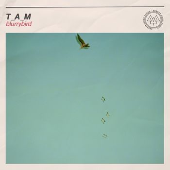 T_A_M - blurrybird