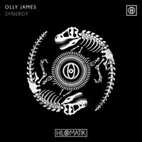 Olly James - Synergy