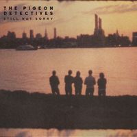 The Pigeon Detectives - Still Not Sorry (The Best Of The Pigeon Detectives [Explicit])