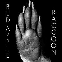 Red Apple - Raccoon