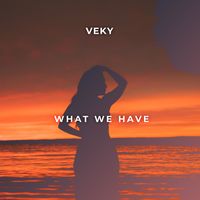 VEKY - What We Have