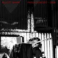 Elliott Sharp - Padua Concert (Live)