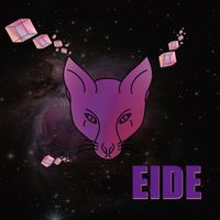 EIDE - Fuzz Facts