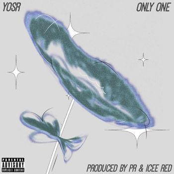 PR - ONLY ONE (Explicit)