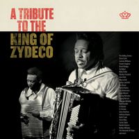 The Rolling Stones & Steve Riley - Zydeco Sont Pas Salés