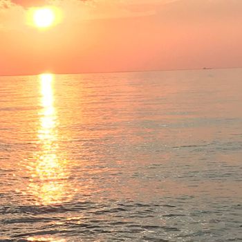 Chris Thompson - Reflection