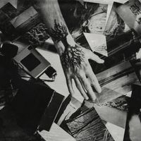Chromogen - In Bloom