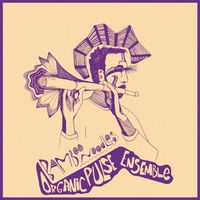 Organic Pulse Ensemble - Bamboo Noodles