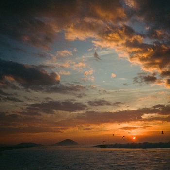 Wayward - Sixth Sense