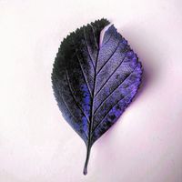 emb–s。 - Beyond My Episodes