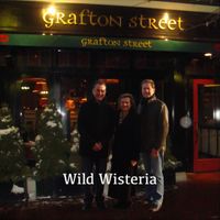 Wild Wisteria - Grafton Street