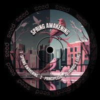 SEED - Spring Awakening