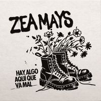 Zea mays - HAY ALGO AQUI QUE VA MAL
