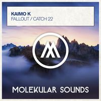 Kaimo K - Fallout / Catch 22