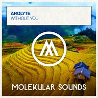 ARQLYTE - Without You