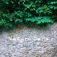 MOX - Nature Calls