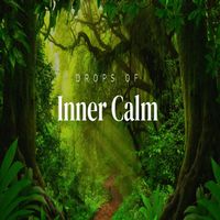 indra - Drops of Inner Calm