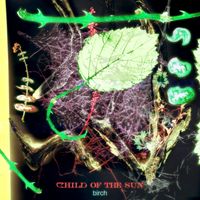 Birch - Child of the Sun