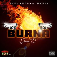 Shane O - Burna (Explicit)