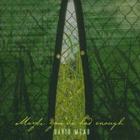 David Mead - Maybe You've Had Enough