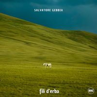 Salvatore Gebbia - Fili d'Erba