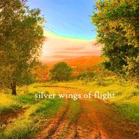 Robert Anton Strobel - silver wings of flight