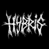 Hybris - Hybris (Explicit)