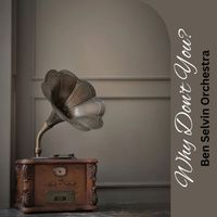 Ben Selvin Orchestra - Why Don't You?