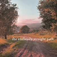 Robert Anton Strobel - the endlessly straight path