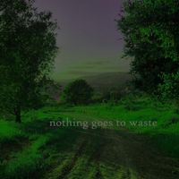 Robert Anton Strobel - nothing goes to waste