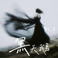 Mr. Z - 黑天鹅
