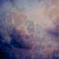 Lake Night - Space Bliss