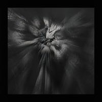 MARSS - Oldu Olanlar