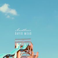 David Mead - Anesthesia