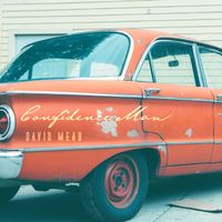 David Mead - Confidence Man