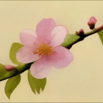 Erus - Naure