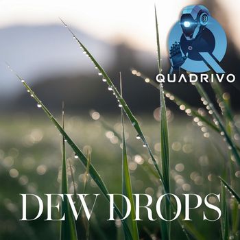 Quadrivo - Dew Drops