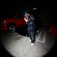 FENIX - MEMORIAS (Explicit)