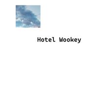 Spook - Hotel Wookey