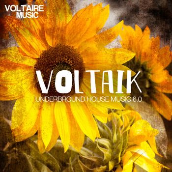 Various Artists - Voltaik 6.0