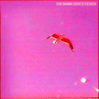 The Burbs - Ladder To The Moon