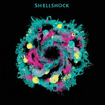 Shellshock - Dig a Hole For Me
