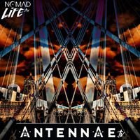 ANTENNAE - London ANTENNAE