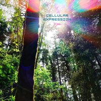 DJ Jace - Cellular Expression