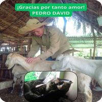 Pedro David - ¡Gracias Por Tanto Amor!