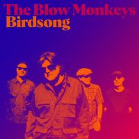 The Blow Monkeys - Birdsong