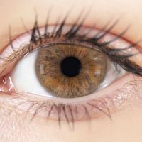 DSP - Pour le papier  (Explicit)