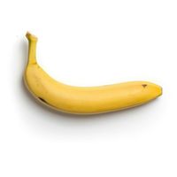 PARANOID - Monkey Banana